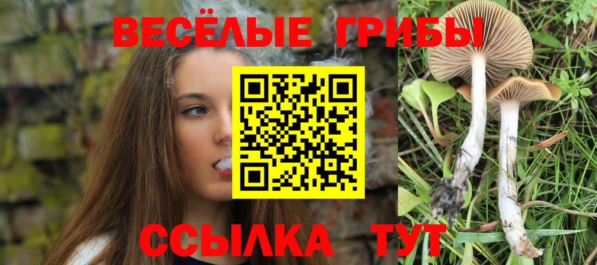 Псилоцибиновые грибы ЛСД  Вход с VPN  купить наркотики сайты  Галлюциногенные грибы MAGIC MUSHROOMS  Валуйки 